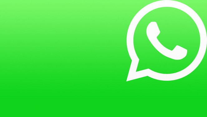 WhatsApp occupa troppa memoria? Liberare spazio su Android e iPhone
